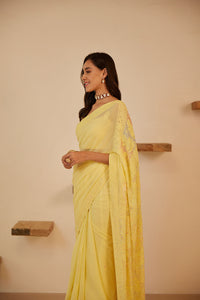 Chikankari & Crystals Embellished Saree