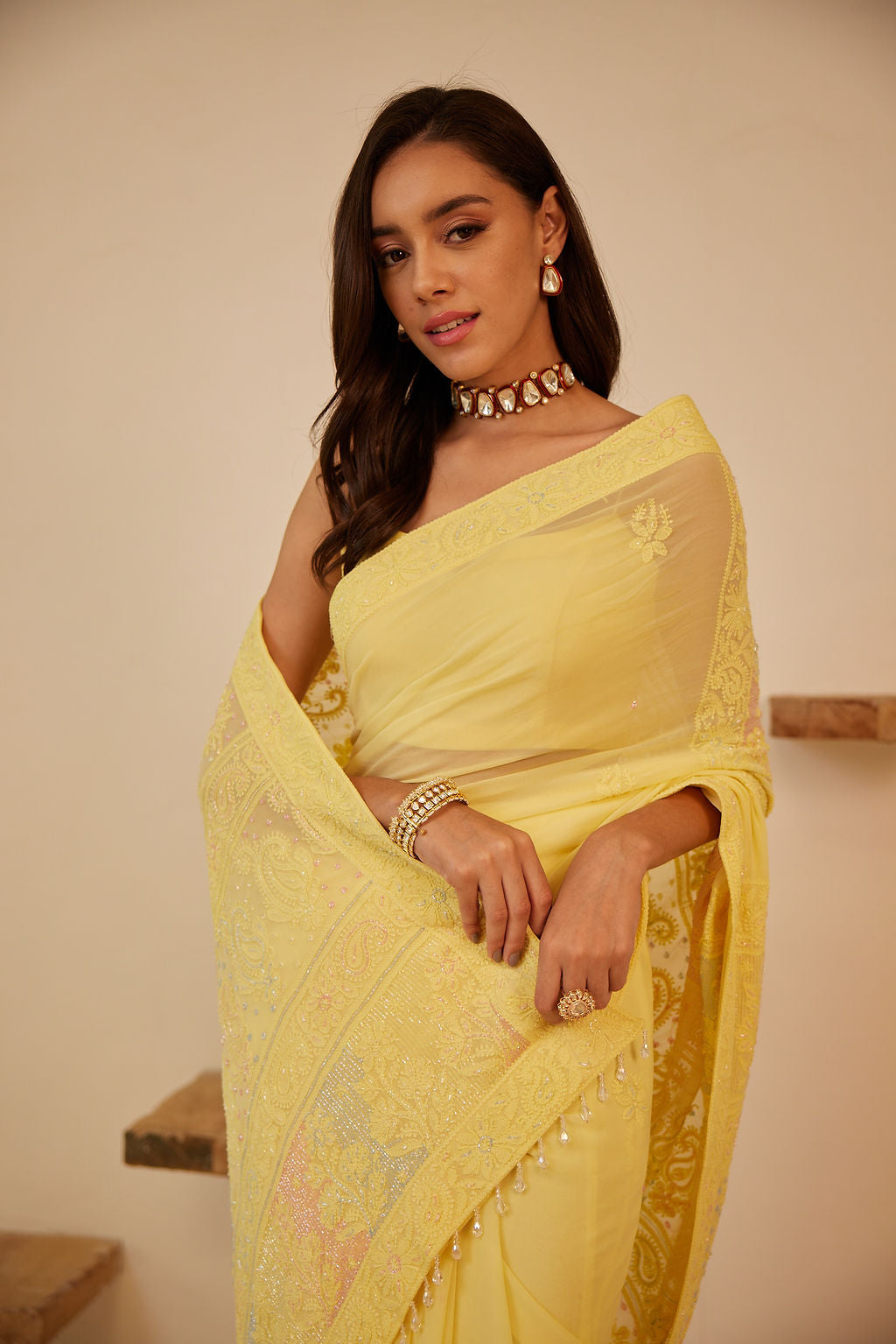 Chikankari & Crystals Embellished Saree