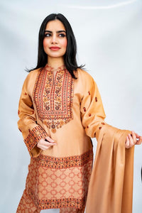 Peachy-Beige winter kanni suit - Knee length shirt with kanni weave pants