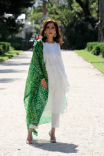 Load image into Gallery viewer, White Silk chikankari kurta
